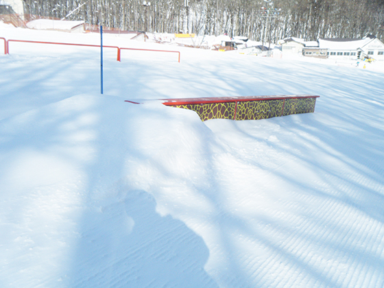 boarditem03