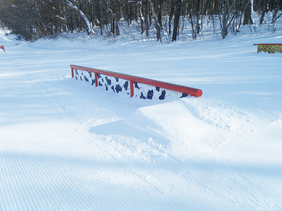 boarditem07