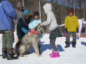 IMG_0066